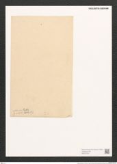 Surirella robusta Ehr. (de-Toni-Nr.: Genus 53, Species 2233) Zeichnungen Sammlung Grunow (NHMW-BOT-W0372705)